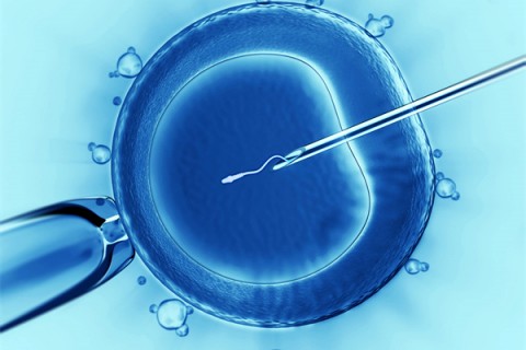 http://shijiazhuang.vdtfzz.com/post/198.html|石家庄代生助孕