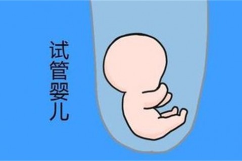 http://shijiazhuang.vdtfzz.com/post/194.html|石家庄新闻中心