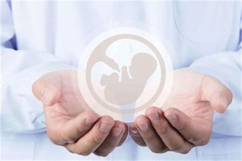 http://shijiazhuang.vdtfzz.com/post/214.html|石家庄人工试管